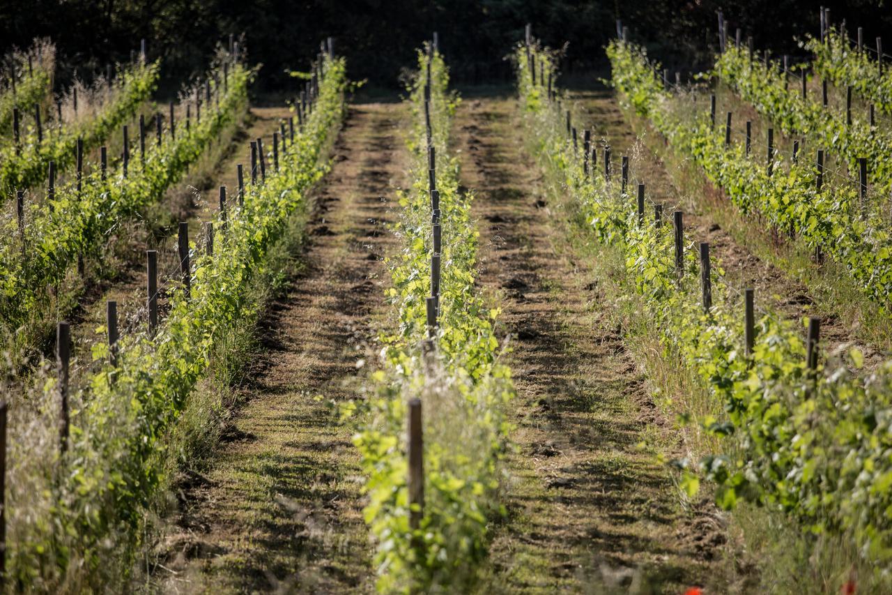 Domaine Monte Verdi Flayosc Exterior photo